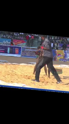 Combat bou méti Yamaha 313 vs fils de delta journée diély production ama dia vs niami niami #lamb #arenenationale #amadia #niaminiami 