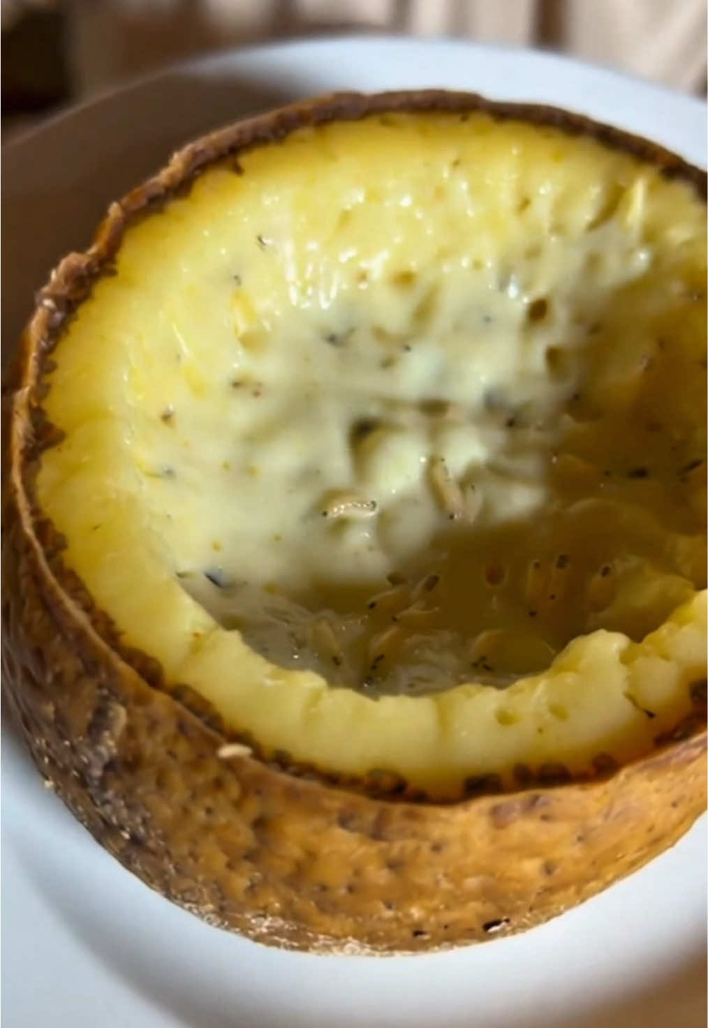 O queijo com larva na Sardenha chama-se Casu Marzu (queijo podre), um queijo artesanal de leite de ovelha onde moscas depositam ovos, e as larvas resultantes comem a massa, criando uma textura cremosa e sabor intenso; é uma iguaria tradicional, mas ilegal na União Europeia devido a preocupações sanitárias. #fy #fortou #queijo 