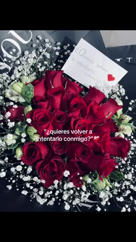 #viraltiktok ❤️‍🩹.