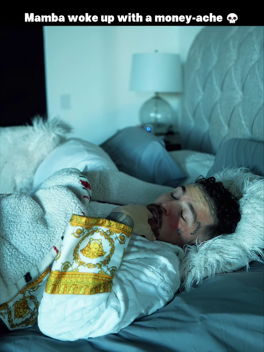 Mamba sleeps on stacks. Main : @Anthony Alvarenga  #Lifestyle #mambafx #relatable #success #motivation 