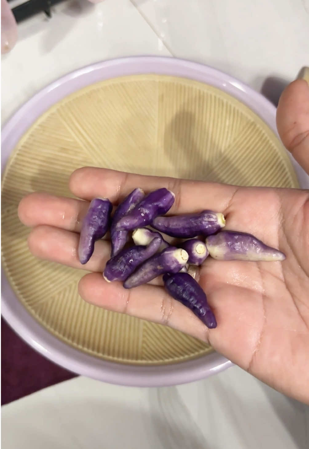 Cabe Rawit Warna Ungu 🍆🌶️😱 Seumur umur baru liat ada cabe rawit warna unguuuu, penasaran banget pas liat pohonnya tuhhh, sampe dikira AI ini cabe tp akupun baru ktemu cabe ungu gini, sebagai pecinta warna ungu ku jg amazing banget 😆 penasaran lah ku coba bikin sambel bawang simpel cuma pake bawang putih, garam dikit, gula dikit sama disiram minyak panas dikit, rasanya ya pedes sama kayak cabe rawit merah aja pedes nya, kalo cabe ini ada di tukang sayur bakalan beli muluk sih buat bikin sambel cabe ungu tiap hariii 🤣 kalo kalian pernah cobain ga cabe ungu ginii? 😚  #cabeungu #cabeungu💜💜💜 #caberawitungu #caberawitunguviral #cabaiungu 
