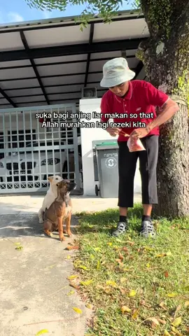 Macam mana kalau aku dah takde nanti mesti korang lapar #jnttttexpressssssssssssssssssssssssssjhr383