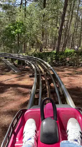 Datanla New Alpine Coaster 🇻🇳  #vietnam #dalat #alpinecoaster 