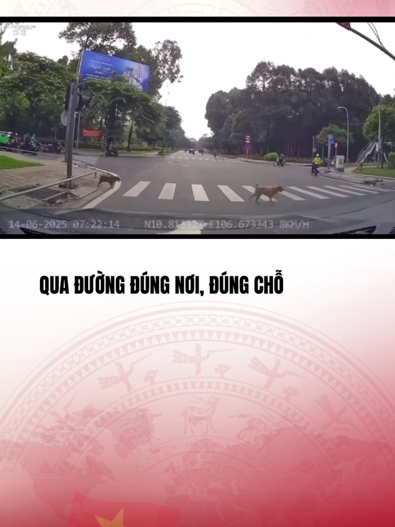 (Nguồn: MXH) Nghiêm chỉnh chấp hành😂#vtvcabtintuc#vtvcab#tiktoknews#vtvprime