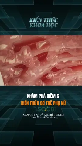 Khám Phá Điểm G Kiến Thức Cơ Thể Phụ Nữ #learnontiktok #kienthuc #khoahoc #cuocsong #xh 