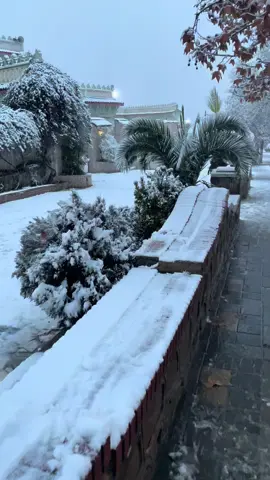 #medea#المدية_والمديـــة_والمدية💪💪 #neige 