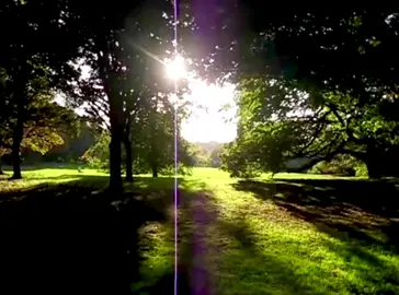 may you never forget me  #temachii #lyrics #music 