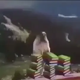 #withoutmusic #muslimtiktok #fypシ #halal #repost 