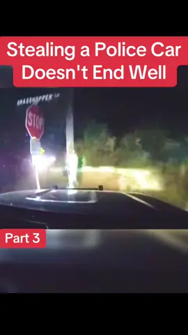 Stealing a Police Car Doesn't End Well #cops #police #copsusa🚔🇺🇸 #policeofficer #foryou 