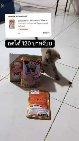 ใครมีโค้ดส่วนลดกดเลยจ้าา #เน็กโกะ #เปียกแมว #อาหารเปียกแมว #เปียกแมวคุณภาพดี 