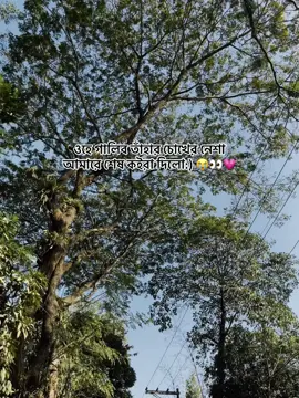@Sopu's Wife:)🤍✨ Ami Ses 😭💘 #fypシ #foryoupage😒🥺👊 #viewsproblem😭💔 #🌙💫✨ #sopon_ofc_s @For You 