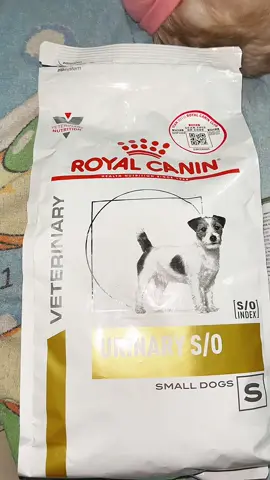 #royalcanin #dogfood #royalcaninso #urinaryso #royalcaninurinary 
