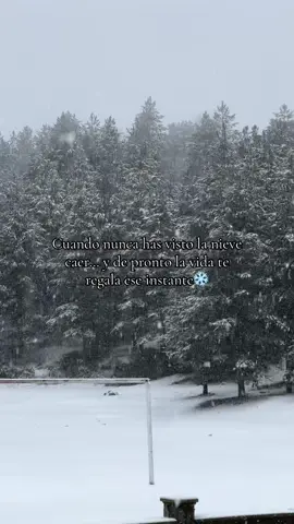 Cuando nunca has visto la nieve caer… y de pronto la vida te regala ese instante. #albaniantiktok #lifeinalbania #albania #razem #shkoder 