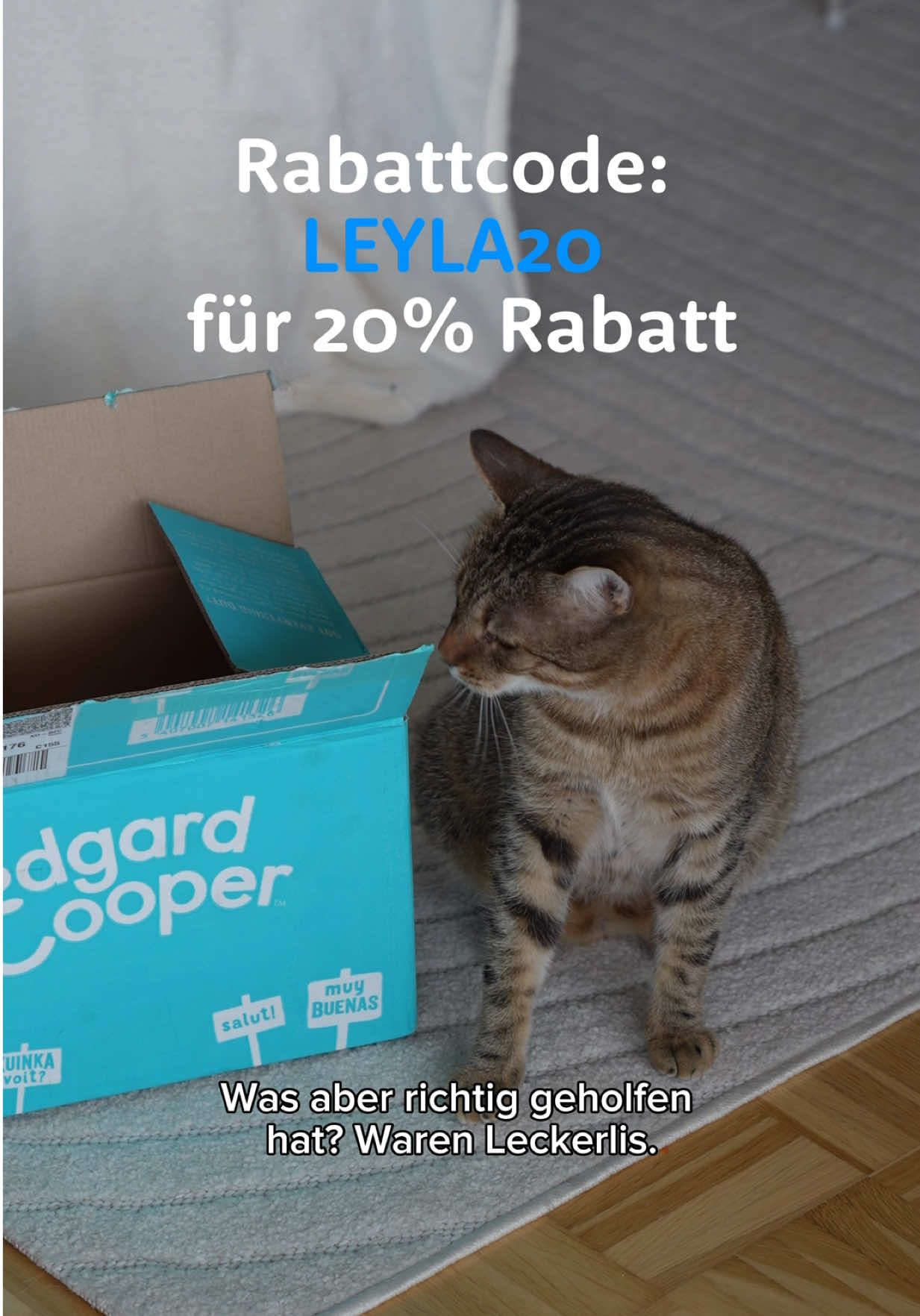 Anzeige| Ich habe eine 3. Katze adoptiert und dazu mein erster Kater 💙  Die Eingewöhnungsphase war ehrlich gesagt nicht ganz easy (viel Geduld, viele kleine Schritte 🫶), aber mit leckerem Futter geht einfach alles ein bisschen leichter. Mit Edgard & Cooper klappt das gerade richtig gut vor allem mit der frischen Leckerli-Reihe, davon bekommen sie wirklich nicht genug 😻 ✨ 20 % Rabatt bekommt ihr aktuell mit dem Code LEYLA20 ✨ Perfekt, wenn ihr euren Fellnasen die Eingewöhnung (oder einfach den Alltag) versüßen wollt 🐱🤍 @Edgard & Cooper  #katzenfutter #katzenadoption #mehrkatzenhaushalt #katzenliebe #edgardandcooper 