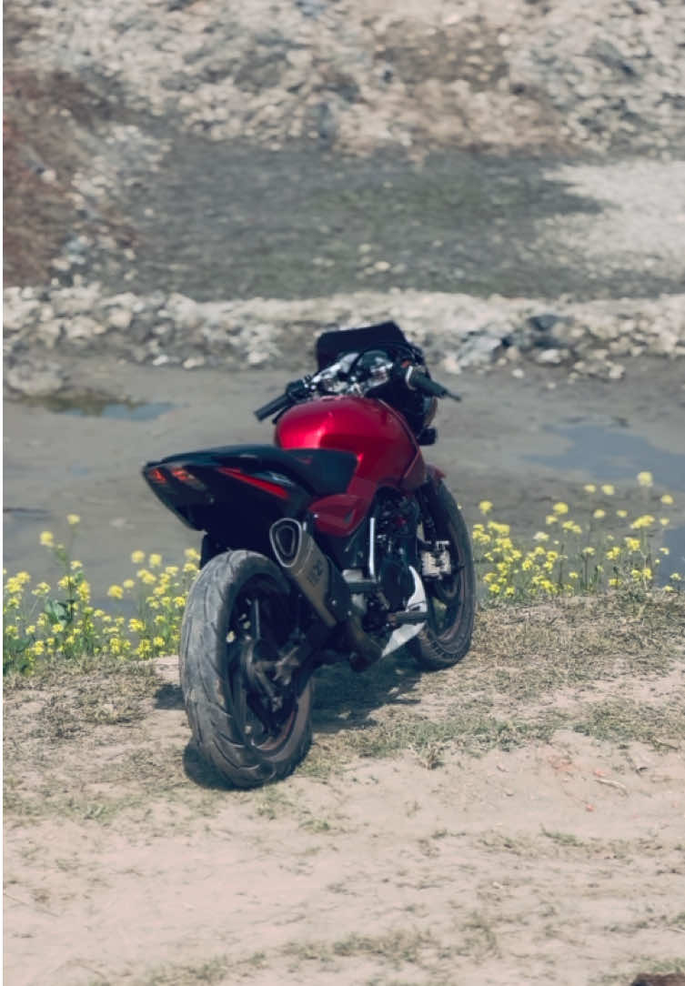 WY 🔴 #foryou #1320 