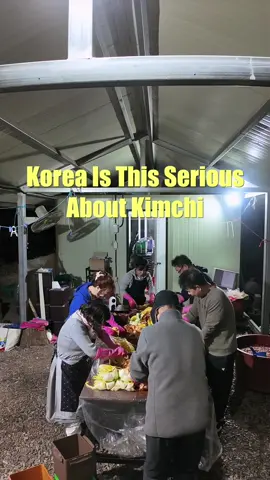 Day 13 | We made about 300 cabbages this year! My family and I spent the whole day making kimchi together, and we even shared some with our neighbors This batch will last us for the whole year, and the taste turned out so good that everyone in my family was super satisfied Do you have any food traditions you share with your family or community? Tell me yours l'd love to hear💖 #Kimchi #koreanlife #KoreanFood 