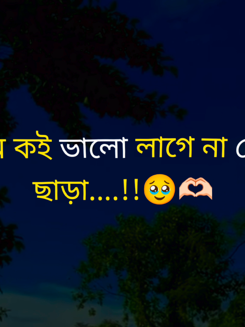 I miss you bow..🥹💗 #caption #lovecaption #viraltiktok #brorakib249 