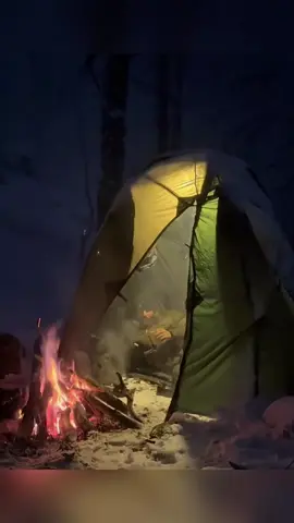 I Survived a Deadly Snowstorm Alone one night #survival #Outdoors #camping 