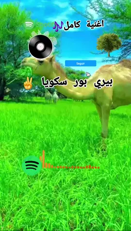 #لايكات #زغاوة_بري_بور_حول_العالم🌏 #زغاوة_حلاوة🇷🇴🇸🇩🥰 #fypシبري #بريبور_حول_العالم_ 