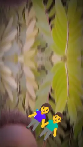 #CapCut 