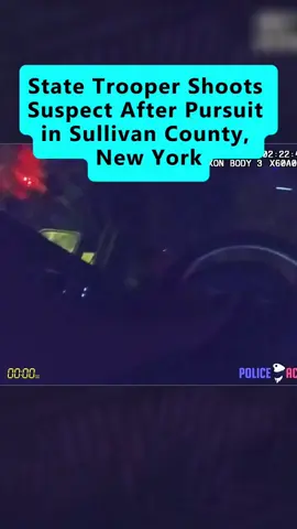 #bodycam #copsoftiktok #cops 