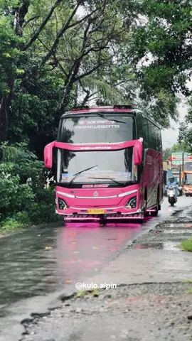Royal Holiday🥶 #royalholiday #jetbus5 #adiputrokaroseri #busenthusiast #kuloalpin 