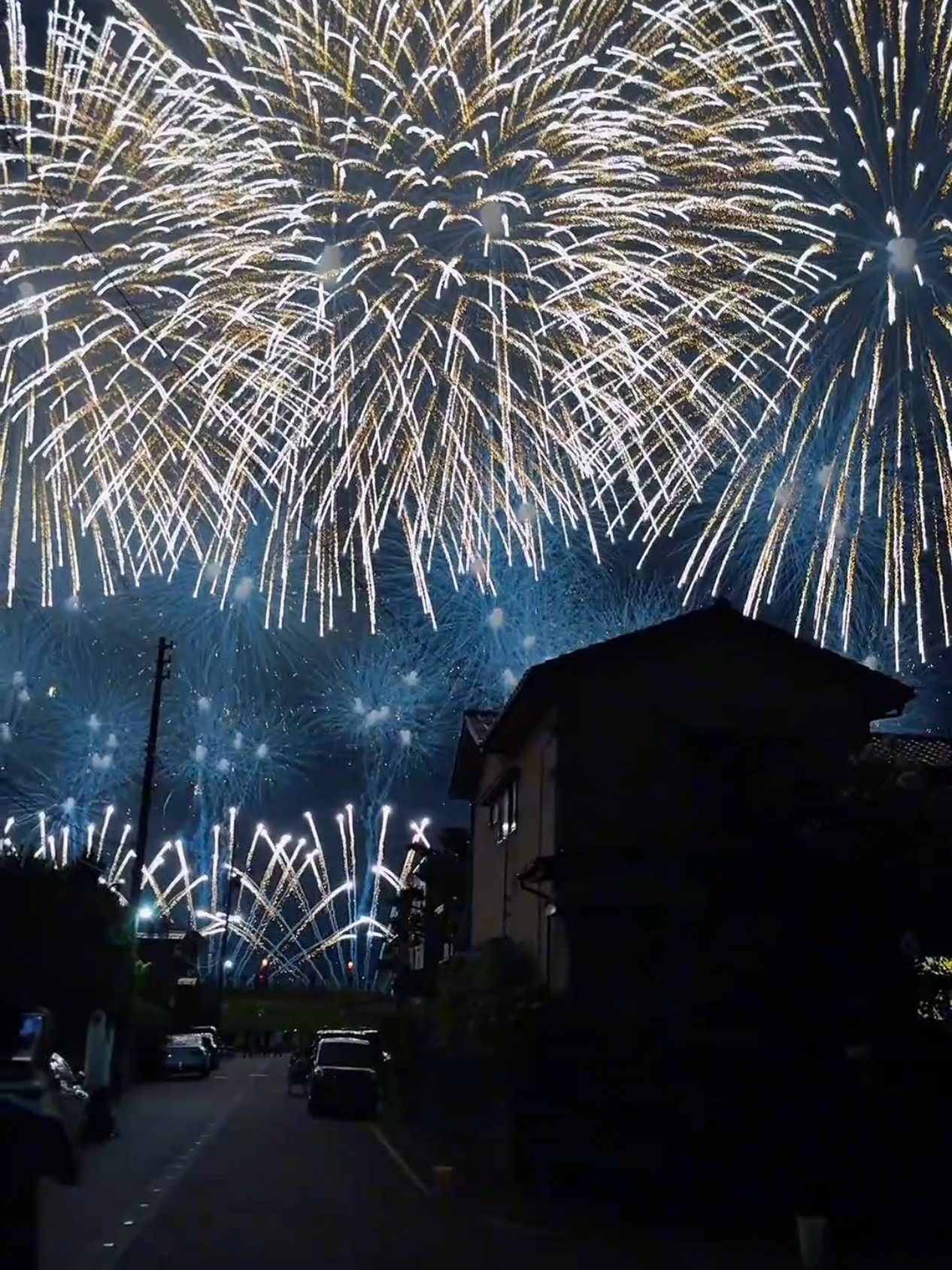 Huge Firework Show!😍😱 #firework #fireworks #fireworkshow #pyro #vuurwerk 