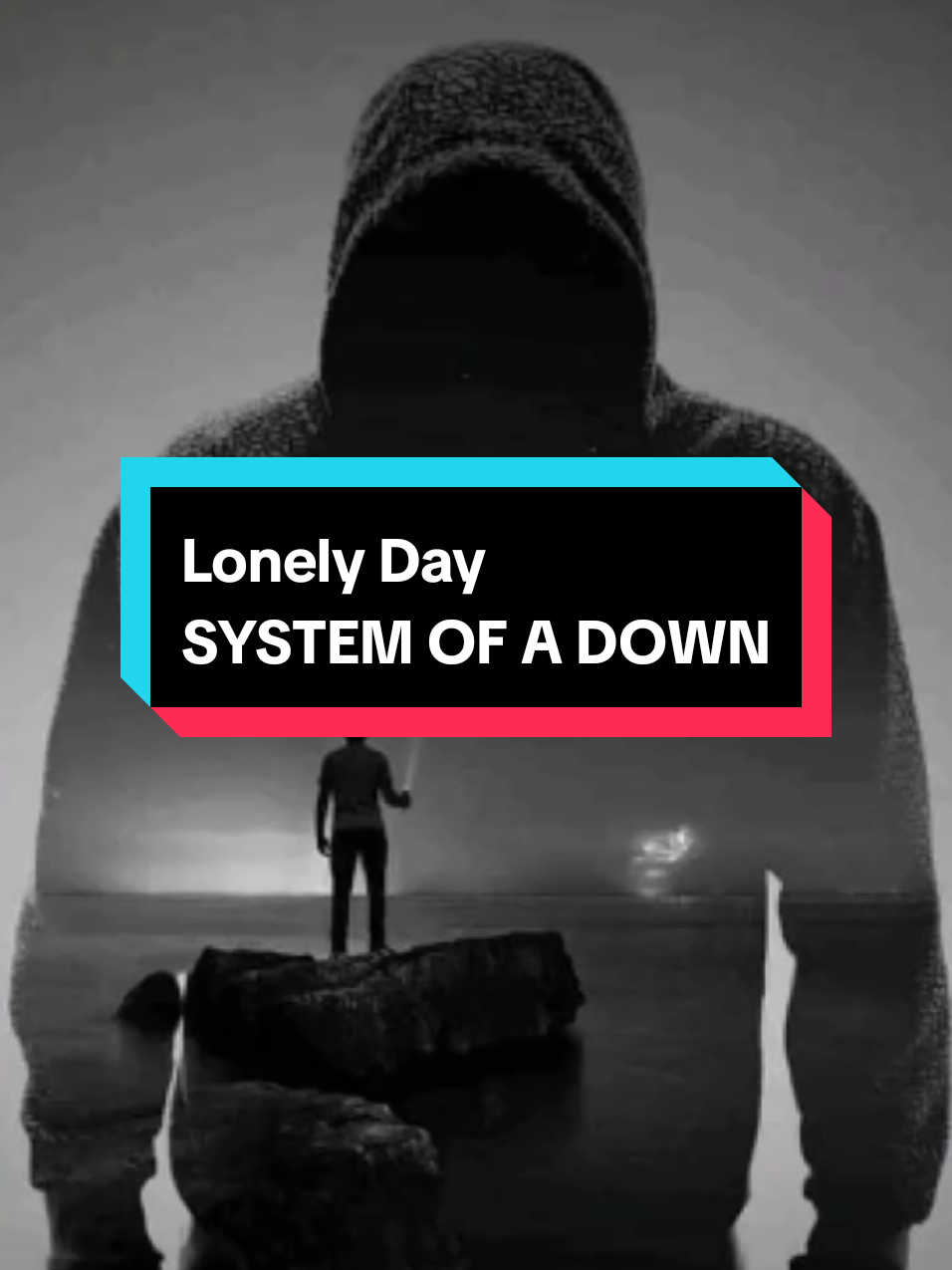 Lonely Day SYSTEM OF A DOWN #rock #parati #systemofadown 