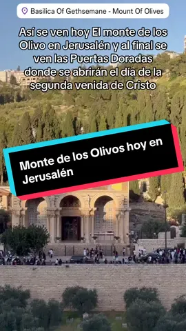 Así ve hoy el monte de los olivos en Jerusalén #miracle #viral #fyp #2026 #goviral 