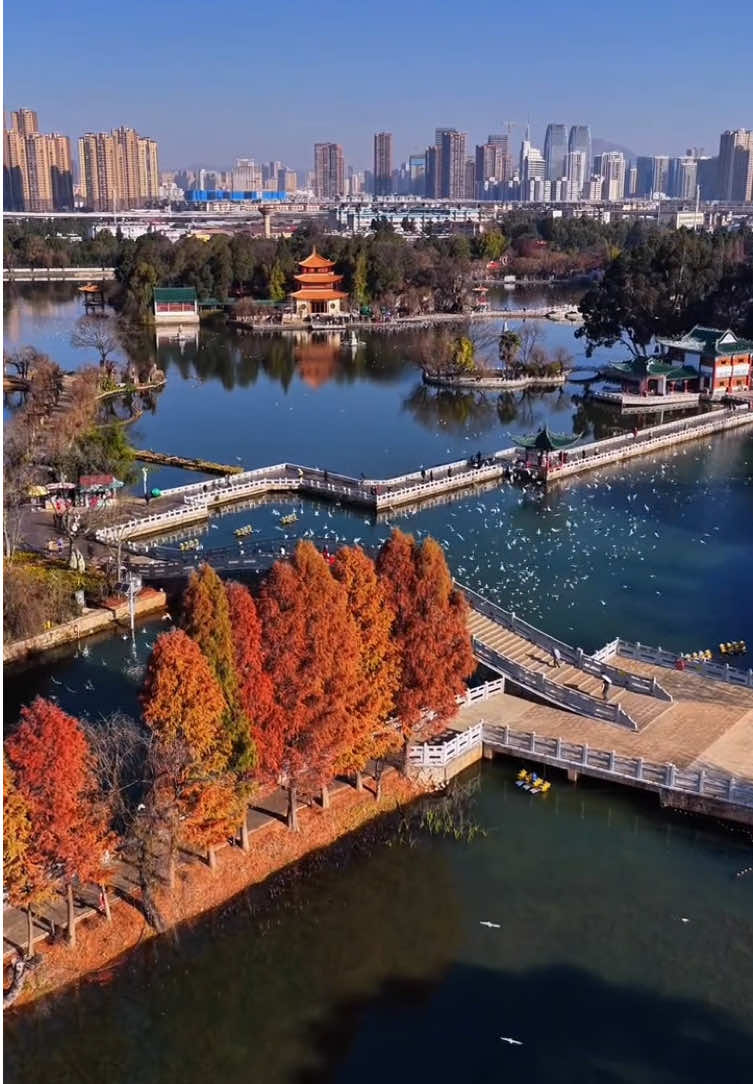Daguan Park, Kunming, Yunnan Province #chinatravel #yunnan #kunming #citypark #cityscape 