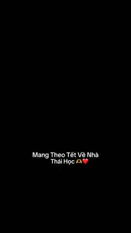 Mang Theo Tết Về Nhà Thái Học _ Phan Hiếu  #idolcuatui #nguyenthaihoc #mangtheotetvenha#nhactet 