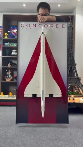 It’s time to showcase your Concorde aircraft !！#concorde #aircraft #lego #legoset #legowall #legolife #wall #frame 