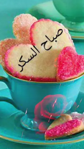 صباحكم جميل كجمال قلوبكم أول أيام شعبان مبارك عليكم الشهر #تونس_الأصالة #2026🌹🌹💯💯♥️ #نهاركم زين#fyp #توووونس 🇹🇳🇹🇳🇹🇳الجزائر 🇩🇿🇩🇿❤️🌴🌿🌱🏝️💯💯