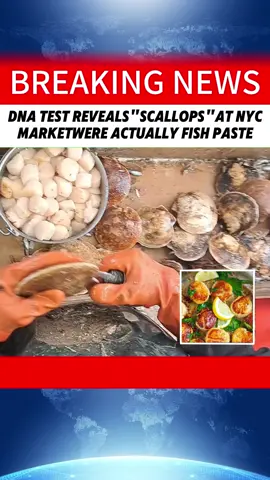 DNA TEST REVEALS