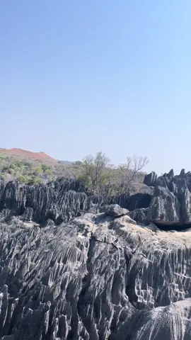 📍Tsingy de bemaraha National Park 🇲🇬.                   #tsingydebemarahanationalpark #madagascartourism #viralvideos #tiktokmalagasy#tiktokviral 