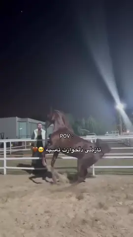 🐎💝#horse #ئەسپ 