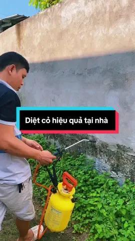 Diệt cỏ hiệu quả tại nhà #dietcotangoc #thuocdietco 