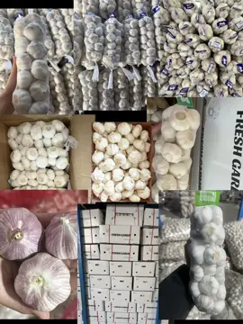 #fresh garlic #normal white garlic#pure white garlic#red garlic #white garlic #factory #wholesale #China supplier #Ali#
