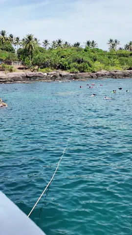 Lặn ngắm san hô#viralvideo #Snorkeling #bookingtourdaophuquoc #xuhuong #phuquocisland 