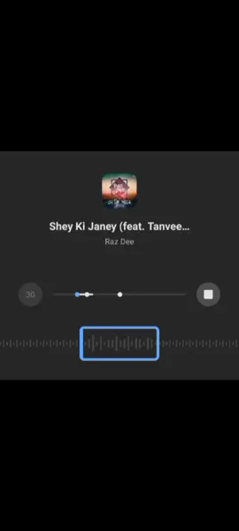 সে কি জানে অভিমানে তোকে হাসা'তে 💔 | Tanveer Evan  #shekujaney #foryou #viral_video #lyricsvideo #banglasong 
