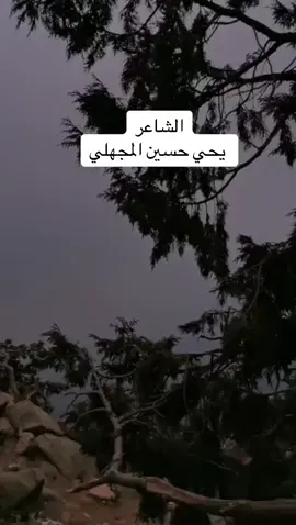#في هذا اليوم 