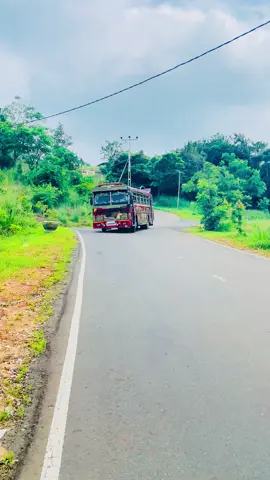 මාත්‍රා 🙇‍♂ #trending #viral #viralvideo #fypシ゚viralシ #fyppage 
