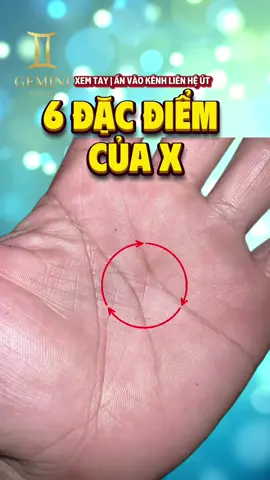 6 đặc điểm của X #coutgemini 