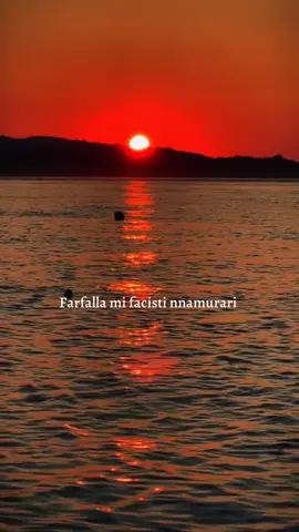 #Farfalla • 2025-12-25 #calabria #calabrianelcuore #perte #italy 