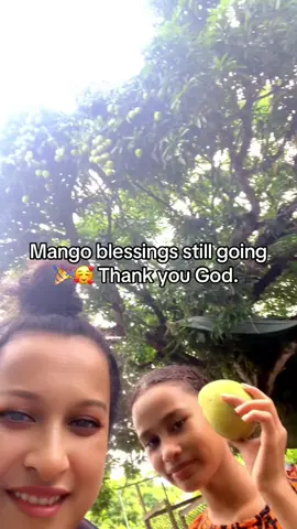 Mango blessings still going🎉🥰 Thank you God.  #fyp #fyypppppppppp #mango #blessings #fruit 