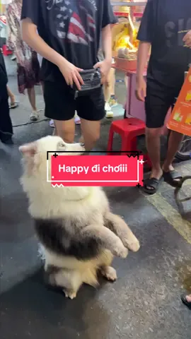 Dắt Happy đi chơii 🥰#cherrypetcoffee #cafethucung #cafethucungsaigon #tiktokgiaitri 