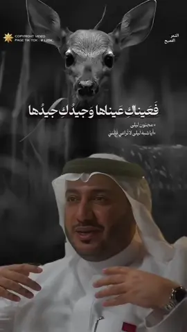 تشبيه قيس بن الملوح محبوبتهِ ليلى بالغزال، في أبيات شعرية جميلة . . . . #مجنون_ليلى #قيس_بن_الملوح #حمود_الصاهود #الشعر_الفصيح #فصحى #غزل #فصيح_العرب 