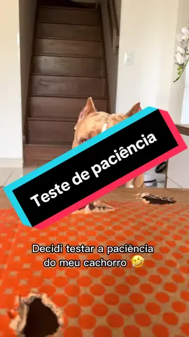 Extremamente paciente e educado 😅🤣
