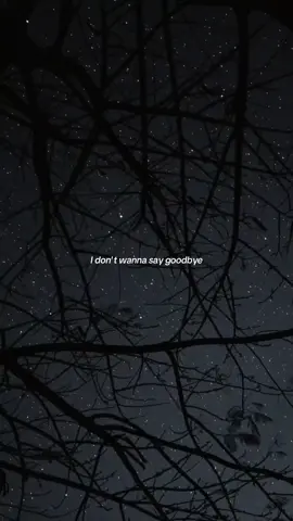 07:31 | I don't wanna say goodbye #inthestars #lyrics #foryou #avlxedits 