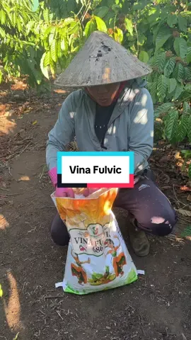 Humic fulvic